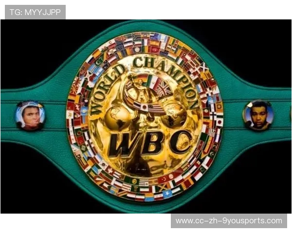 世界拳击联合会改革引发业内讨论，世界拳击理事会wbc