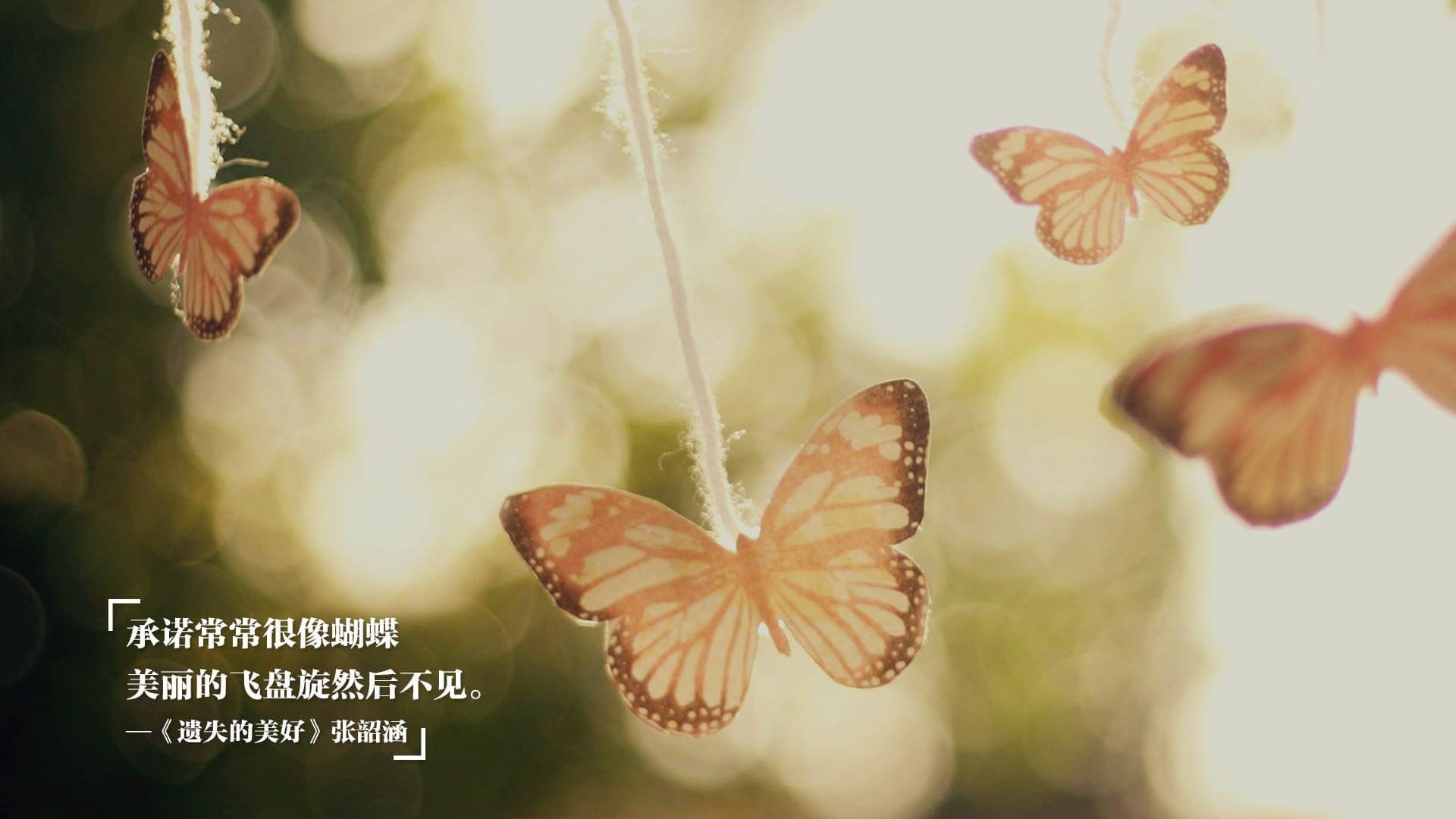 天府新区轻艇马拉松闭幕，精彩不断，成都天府新区马拉松