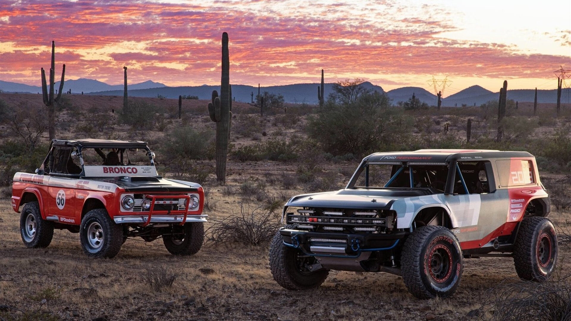 南非男队接力泳配合出色，南非男队接力泳配合出色的是谁