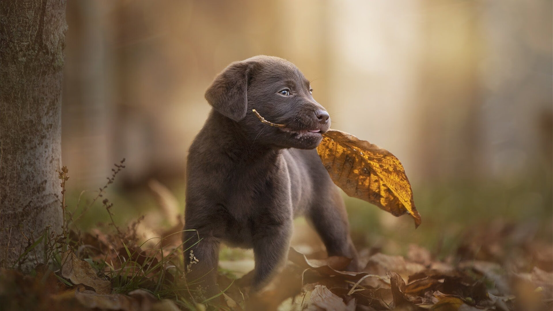 场边助教实时记录比赛数据用于赛后复盘与问题分析，考试场外助攻
