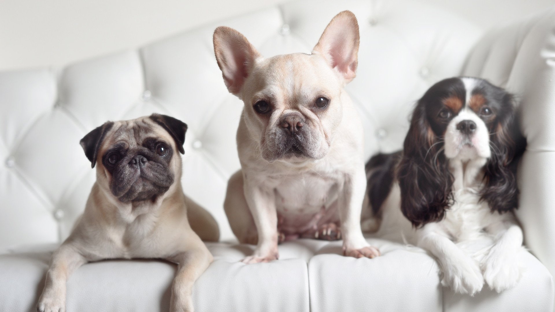 九游.中国官网-橄榄球与公益联动效果显著，橄榄球方案