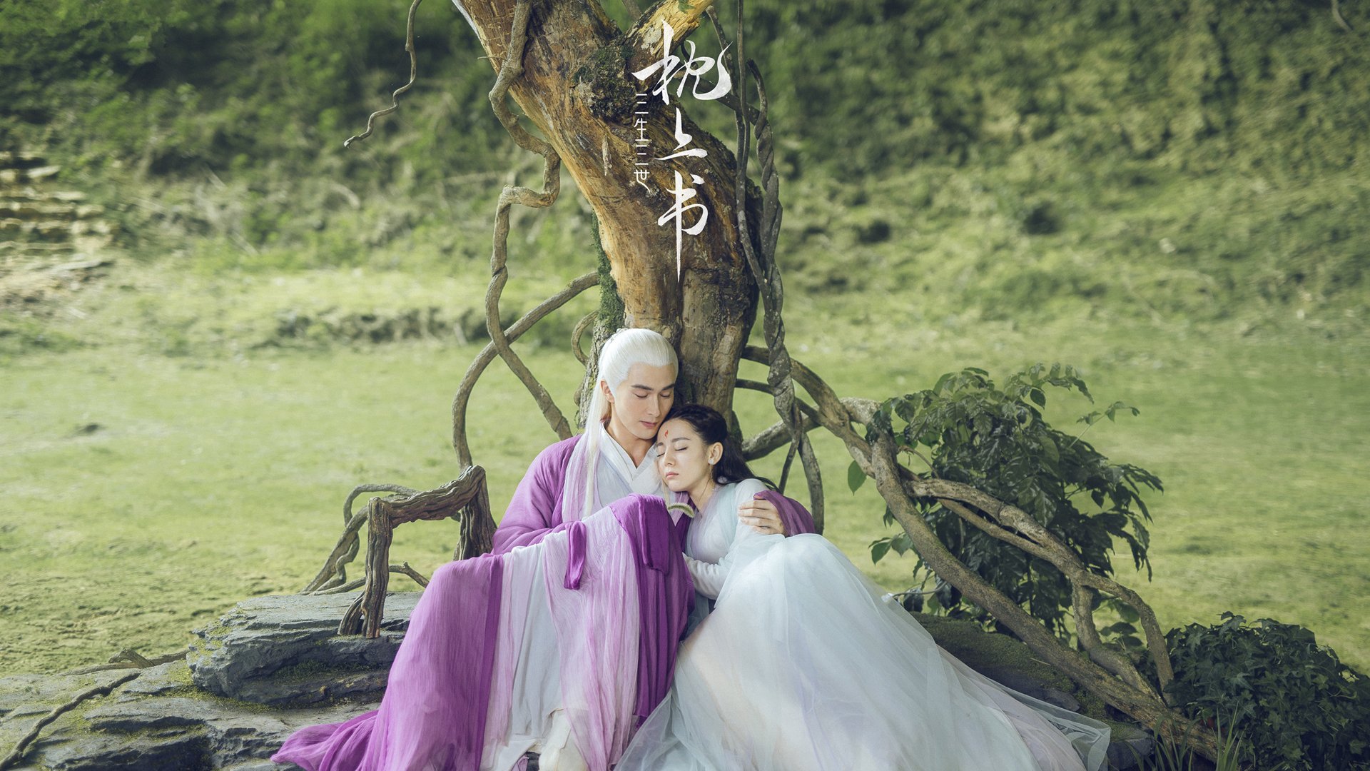 橄榄球与公益联动效果显著，橄榄球方案